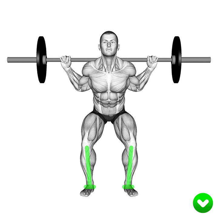 خطای زانو در اسکوات (Squat Incorrect Knees) — حرکت چهارسر (آموزش تصویری)