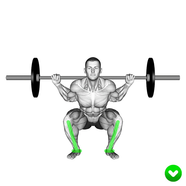 وضعیت نهایی زانو در اسکوات (Squat Knees End Position) — حرکت چهارسر (آموزش تصویری)