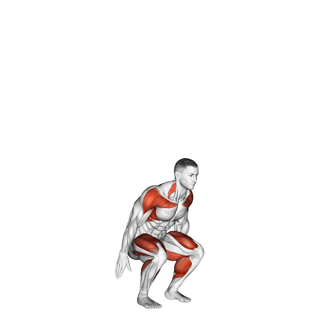 اسکوات به ساق پا (Squat To Calf Raise) — حرکت چهارسر (آموزش تصویری)