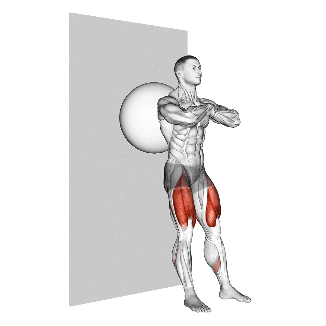 اسکوات دیواری با توپ (Stability Ball Wall Sit) — حرکت چهارسر (آموزش تصویری)