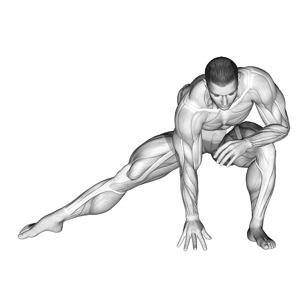 کشش کشاله ران ایستاده (Standing Bent Knee Hip Adductor Stretch) — حرکت چهارسر (آموزش تصویری)