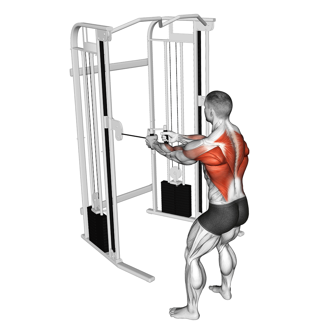 زیربغل سیمکش ایستاده (Standing Cable Row) — حرکت زیربغل (آموزش تصویری)