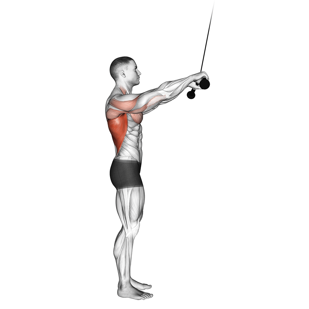 زیربغل سیم‌کش دست صاف (Standing Cable Straight Arm Pushdown) — حرکت زیربغل (آموزش تصویری)