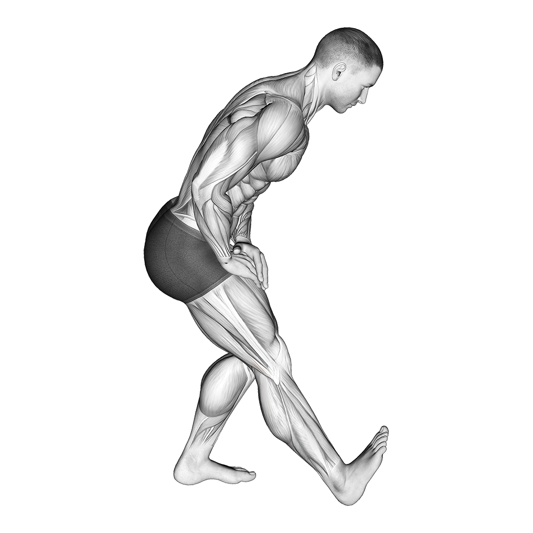 کشش همسترینگ ایستاده (Standing Hamstring Stretch) — حرکت همسترینگ (آموزش تصویری)