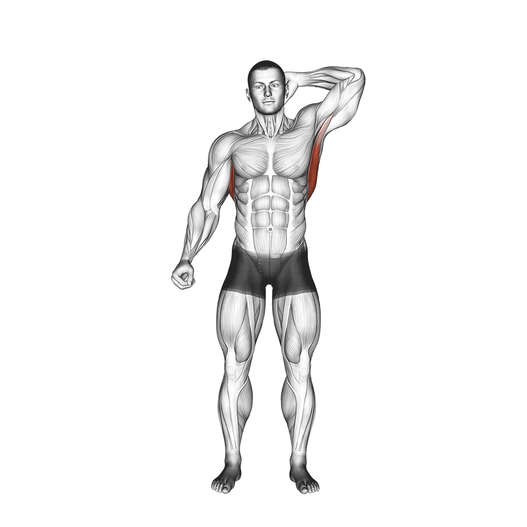 کشش زیربغل ایستاده (Standing Lat Stretch) — حرکت زیربغل (آموزش تصویری)