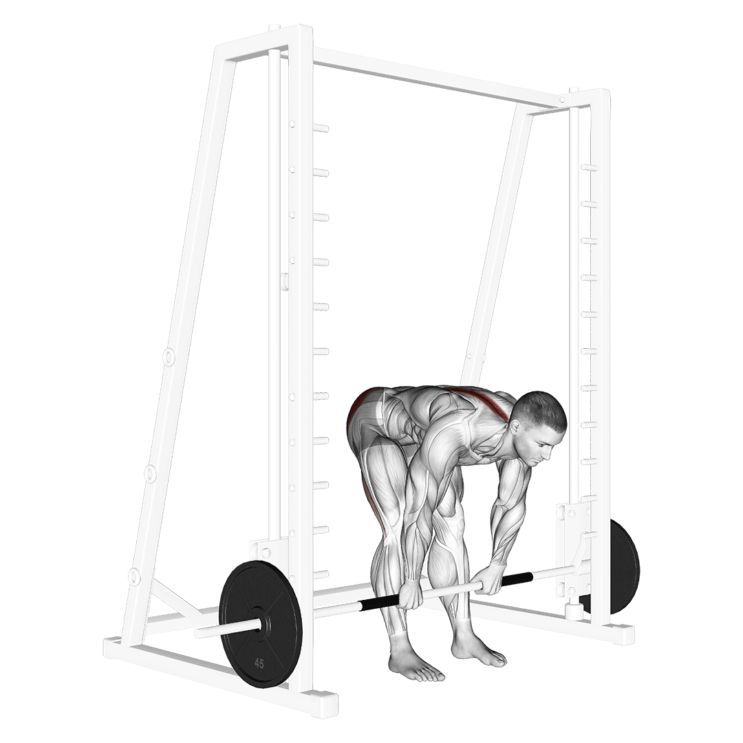 ددلیفت پا صاف اسمیت (Stiff Legged Smith Deadlift) — حرکت همسترینگ (آموزش تصویری)