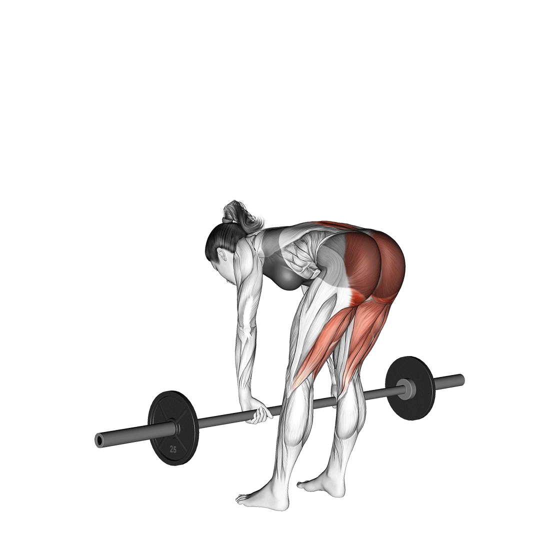 ددلیفت پا صاف (Straight Leg Deadlift) — حرکت همسترینگ (آموزش تصویری)