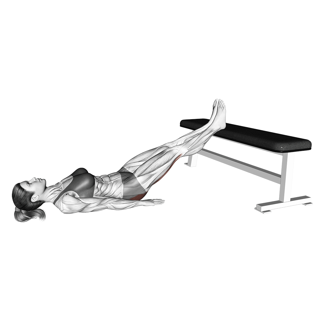 پل باسن پا صاف (Straight Leg Glute Bridge) — حرکت باسن (آموزش تصویری)
