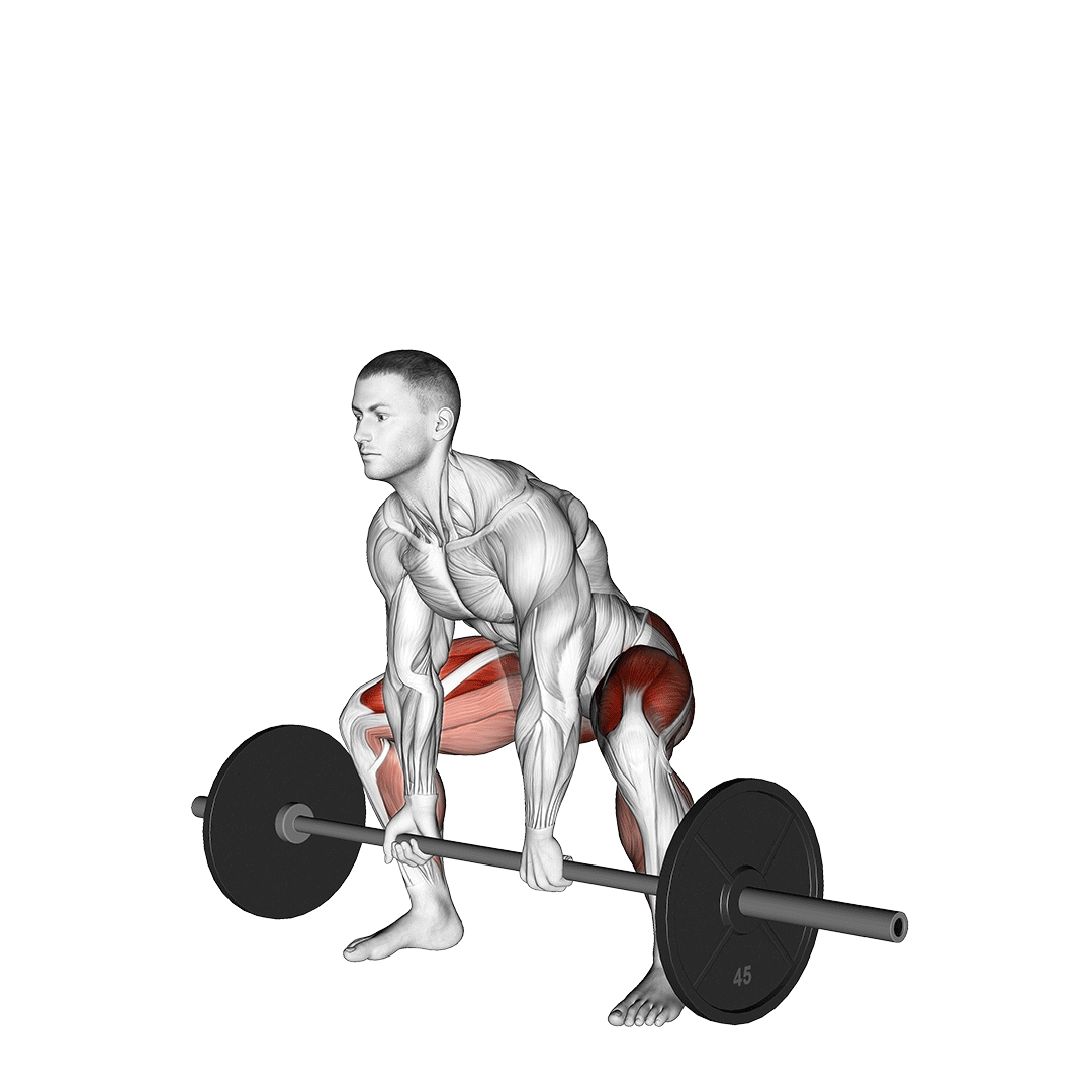 ددلیفت سومو (Sumo Deadlift Form) — حرکت چهارسر (آموزش تصویری)