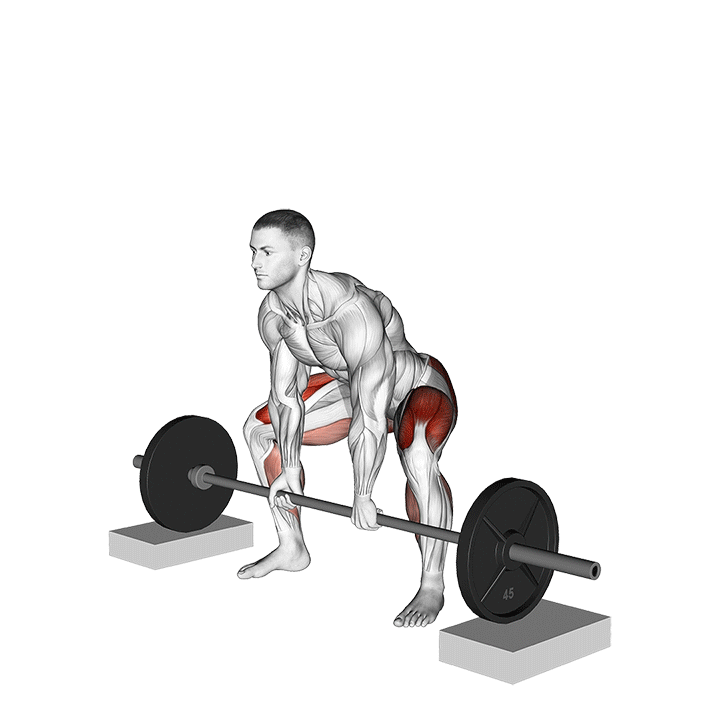 ددلیفت سومو از روی بلوک (Sumo Deadlift From Blocks) — حرکت چهارسر (آموزش تصویری)