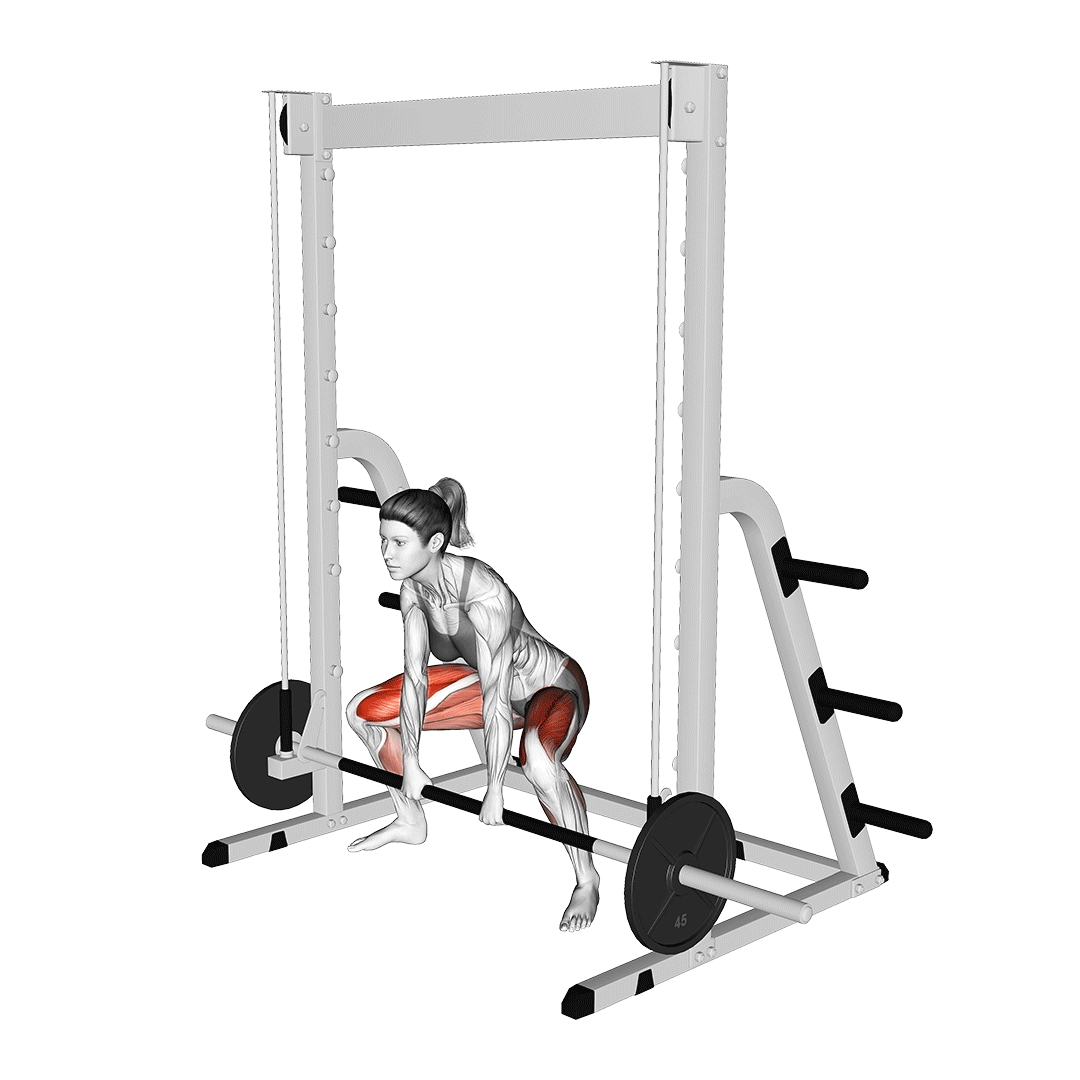ددلیفت سومو اسمیت (Sumo Smith Machine Deadlift) — حرکت چهارسر (آموزش تصویری)