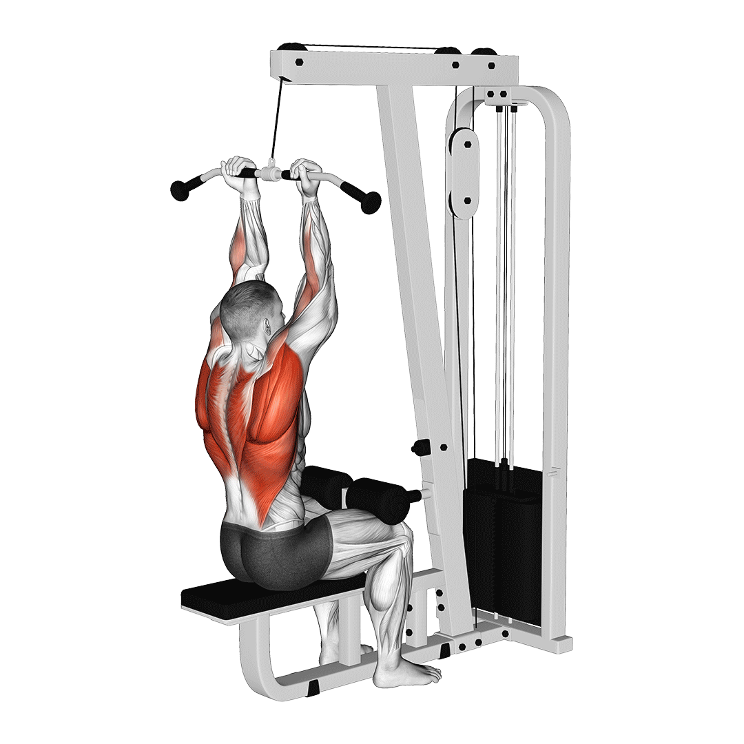 زیربغل سیمکش دستبرعکس (Supinated Lat Pulldown) — حرکت زیربغل (آموزش تصویری)
