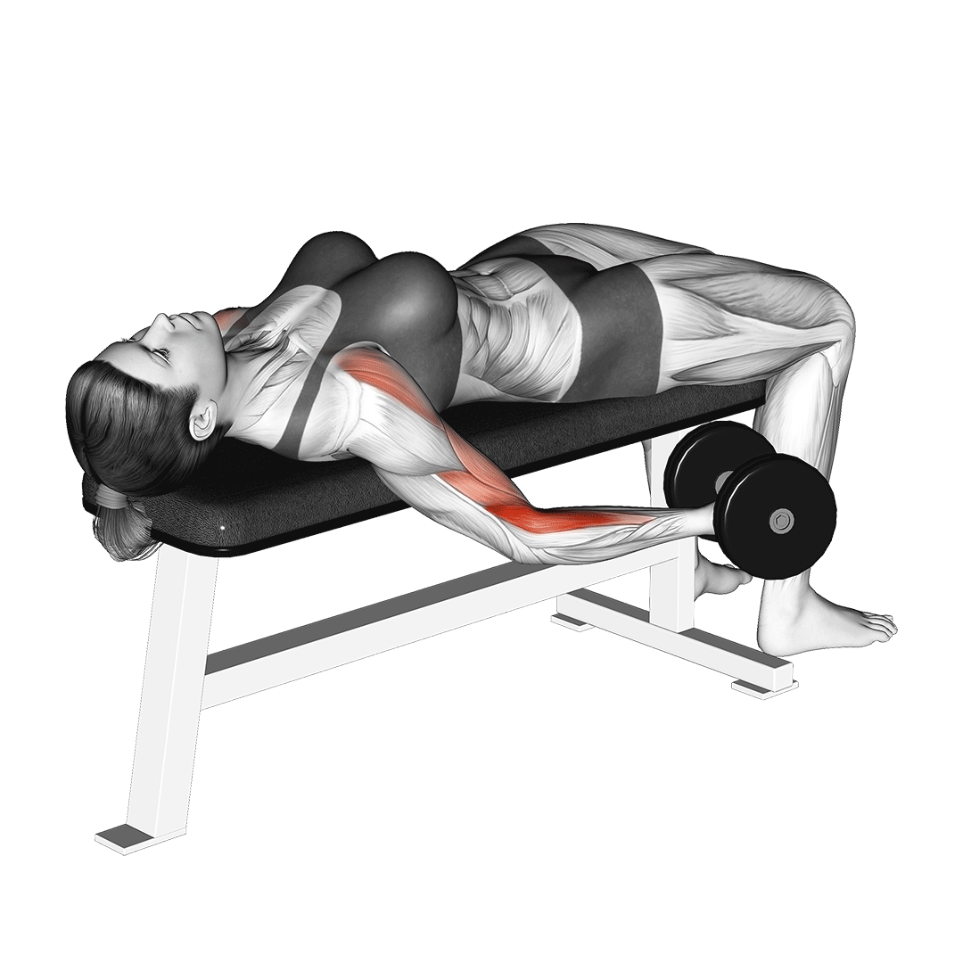 جلوبازو دمبل خوابیده (Supine Dumbbell Curl) — حرکت جلوبازو (آموزش تصویری)