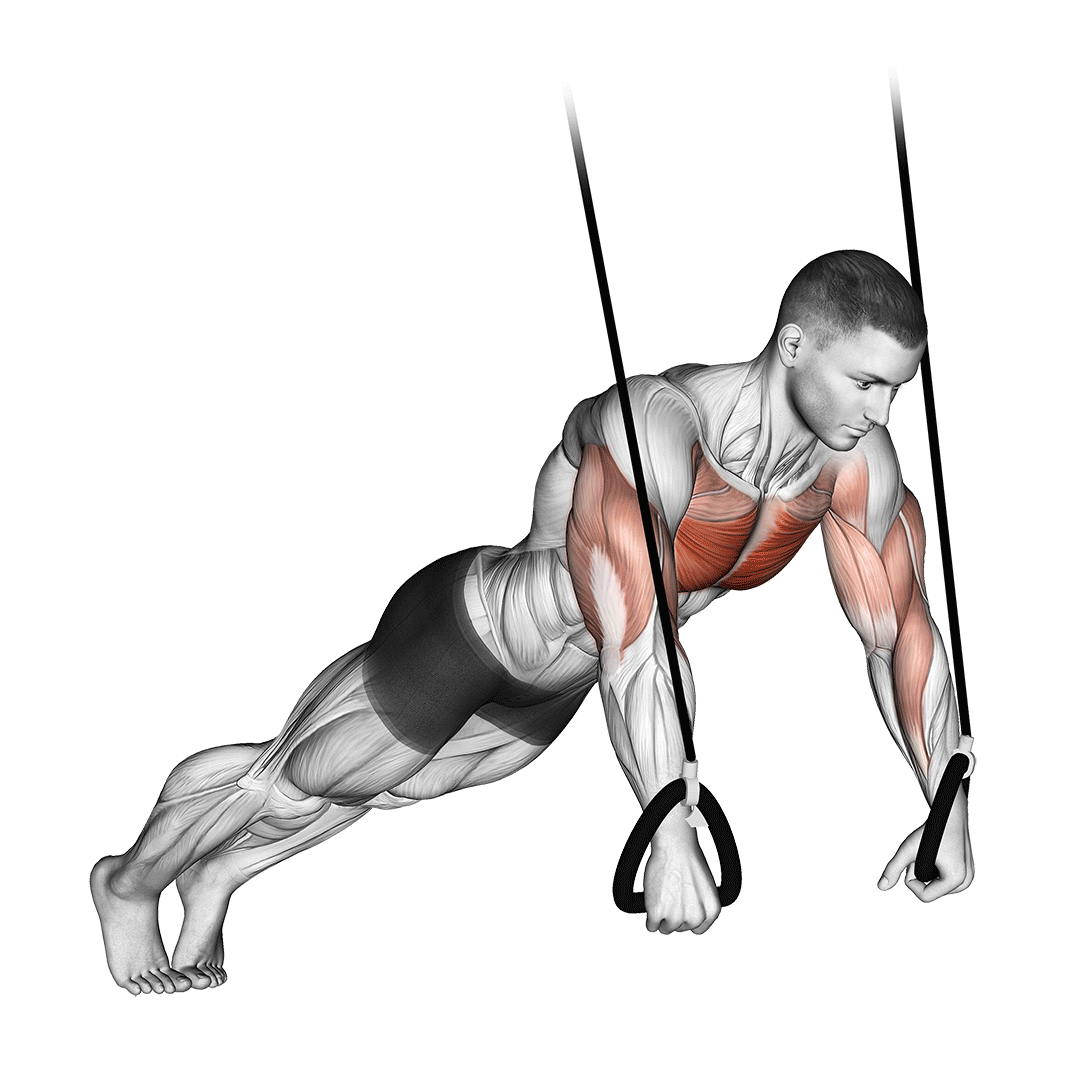 شنا سوئیسی (TRX) (Suspended Push Ups) — حرکت سینه (آموزش تصویری)