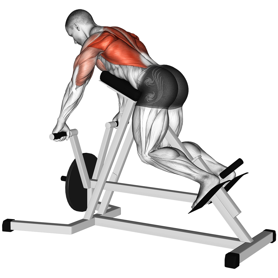 تی‌بار دستگاه (T Bar Row Machine) — حرکت زیربغل (آموزش تصویری)