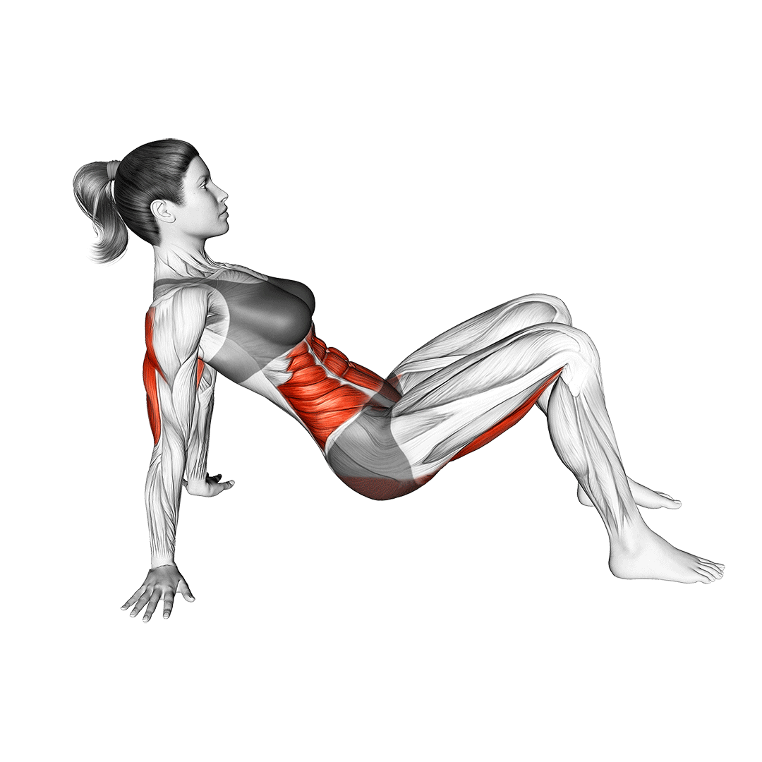 پل باسن میز (Table Top Glute Bridge) — حرکت باسن (آموزش تصویری)