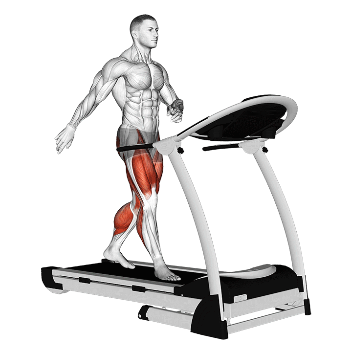تردمیل (Treadmill) — حرکت هوازی (آموزش تصویری)