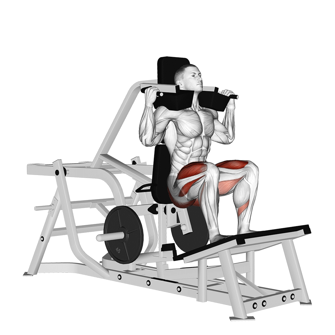 اسکات دستگاه وی (V-Squat) — حرکت چهارسر ران (آموزش تصویری)