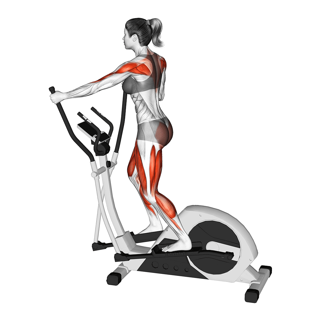 الپتیکال (Elliptical) — حرکت هوازی (آموزش تصویری)