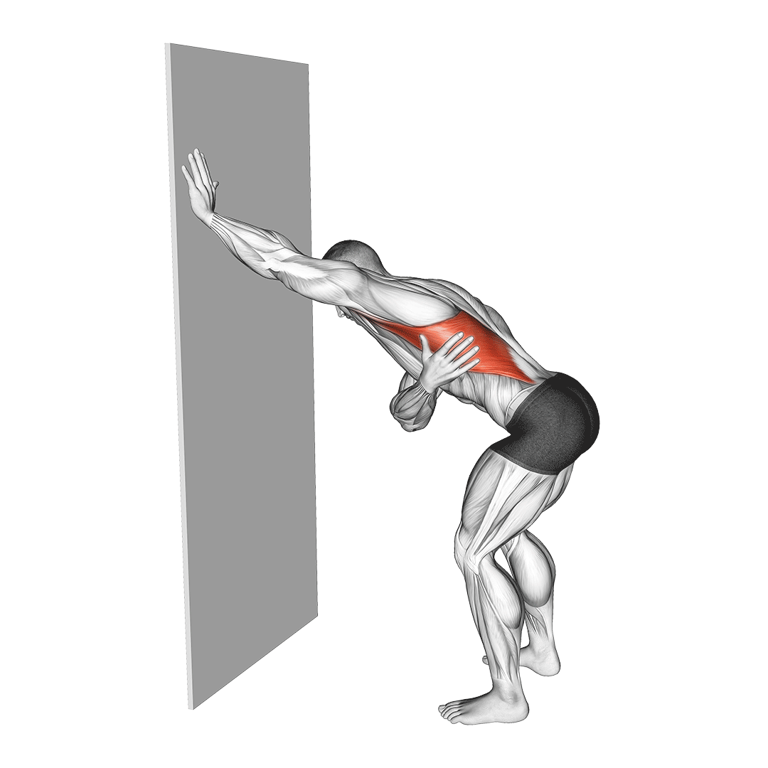 کشش زیربغل روی دیوار (Wall Lat Stretch) — حرکت زیربغل (آموزش تصویری)