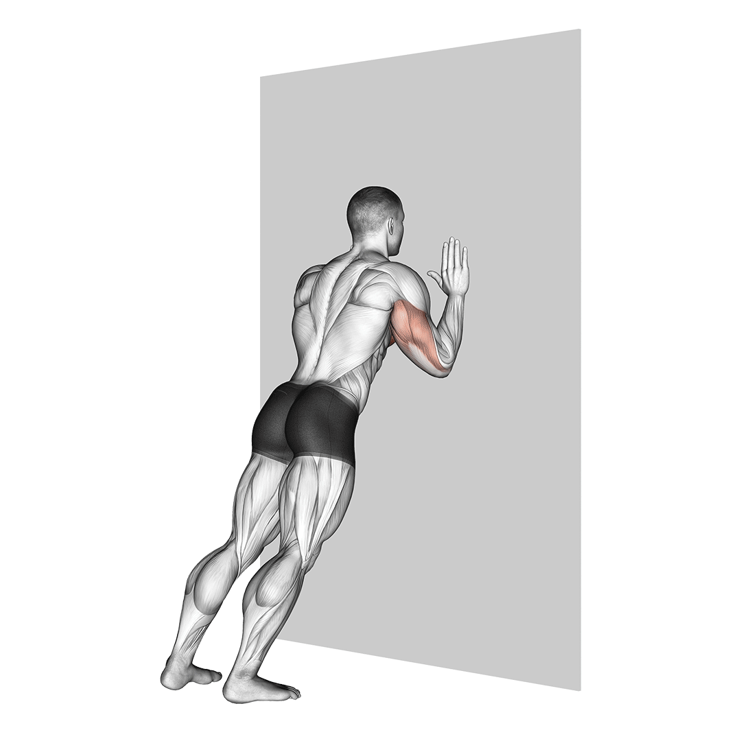 شنا روی دیوار (Wall Push Ups) — حرکت سینه (آموزش تصویری)
