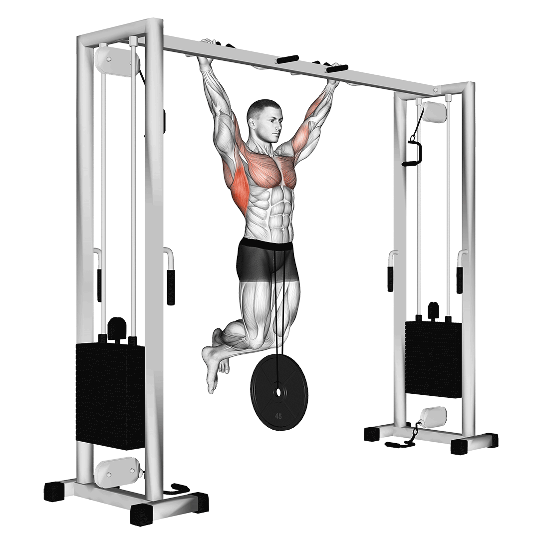 بارفیکس با وزنه (Weighted Pull Up) — حرکت زیربغل (آموزش تصویری)