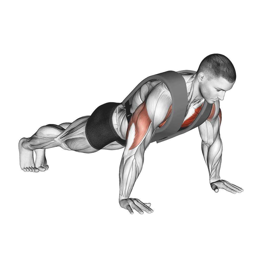 شنا سوئدی با وزنه (Weighted Push Up) — حرکت سینه (آموزش تصویری)