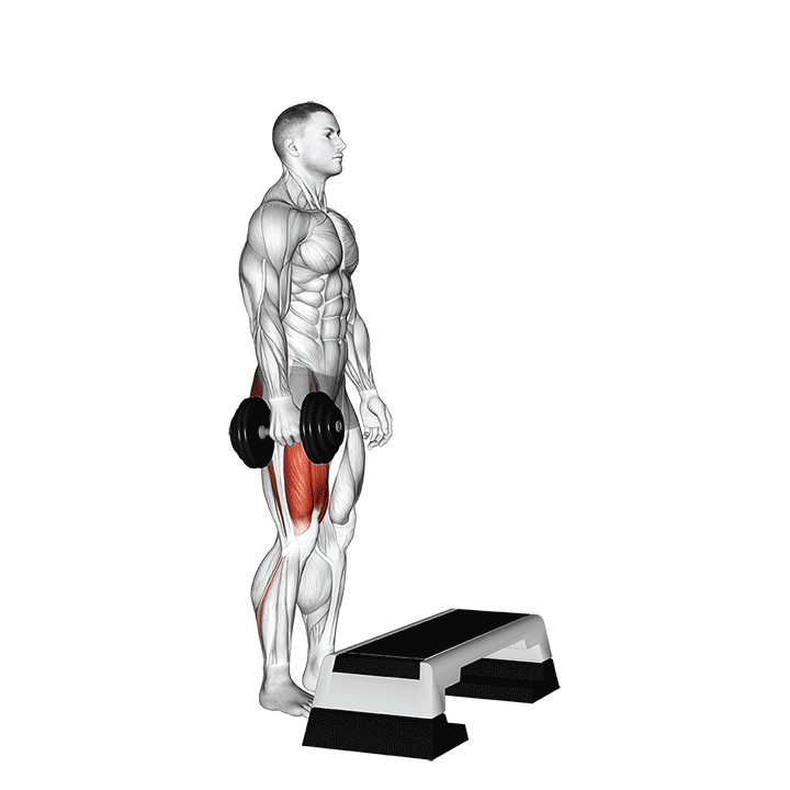 استپآپ با وزنه (Weighted Step Up) — حرکت باسن (آموزش تصویری)