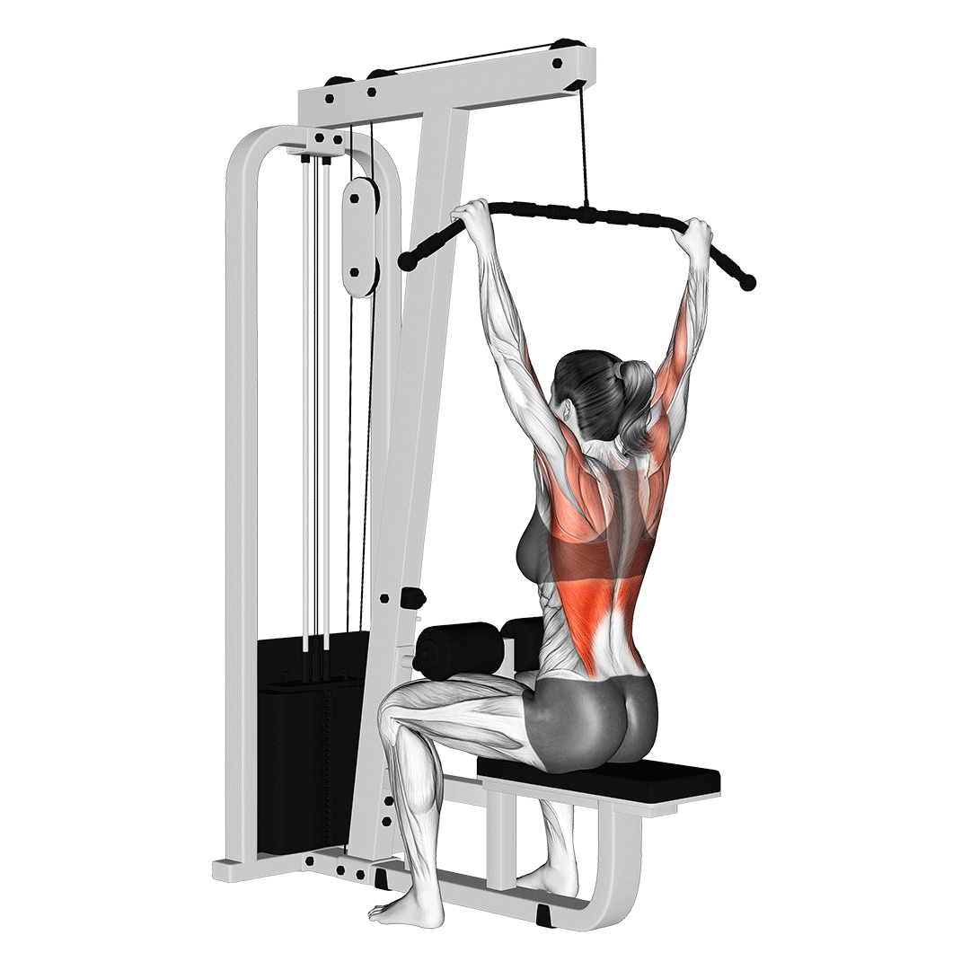 زیربغل سیم‌کش دست‌باز (Wide Grip Pulldown) — حرکت زیربغل (آموزش تصویری)