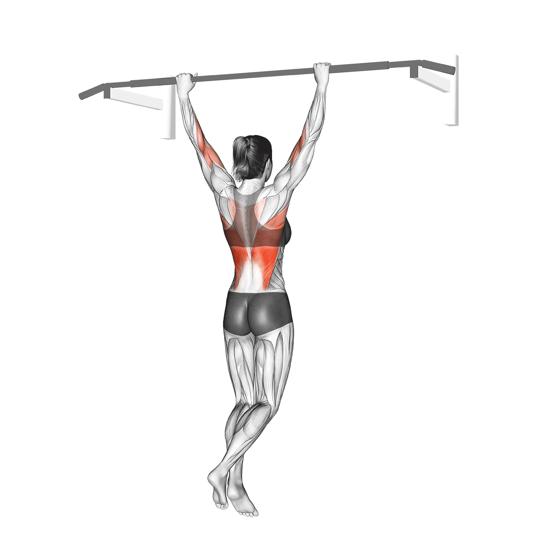 بارفیکس دستباز (Wide Grip Pull Up) — حرکت زیربغل (آموزش تصویری)