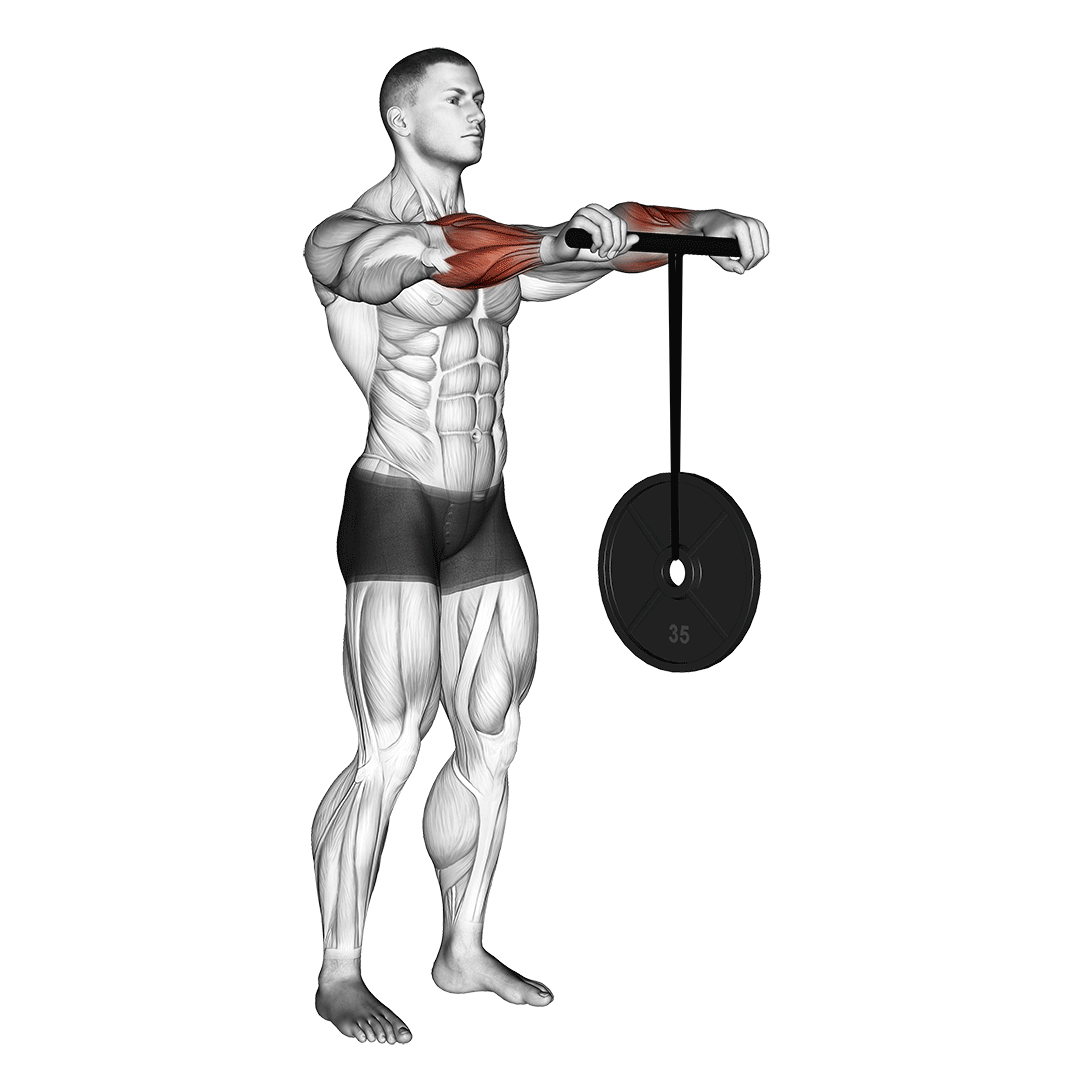 رولر مچ دست (Wrist Roller) — حرکت ساعد (آموزش تصویری)