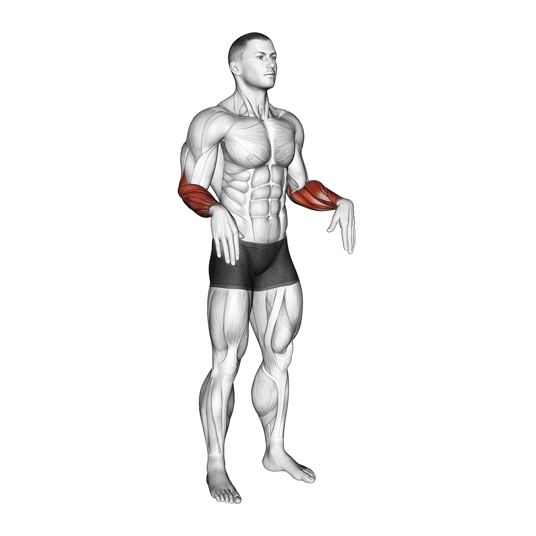 چرخش مچ (Wrist Rotations) — حرکت ساعد (آموزش تصویری)