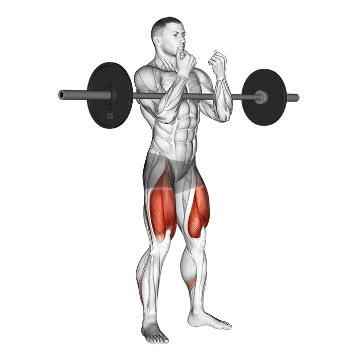 اسکوات زِرچر (Zercher Squat) — حرکت چهارسر (آموزش تصویری)